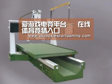 产品名称九