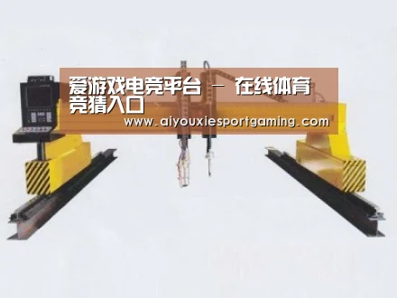产品名称十八