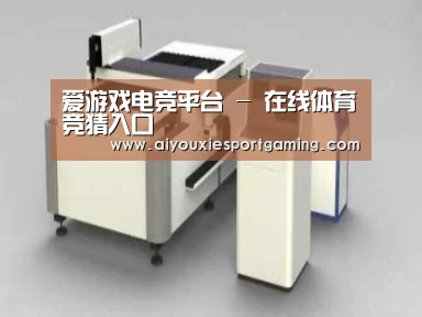 产品名称十三