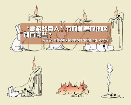 ‘爱游戏真人’节瓜和冬瓜的区别有哪些?(图2) 爱游戏真人