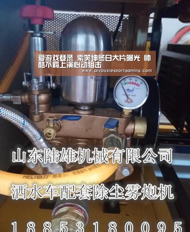 爱游戏登录