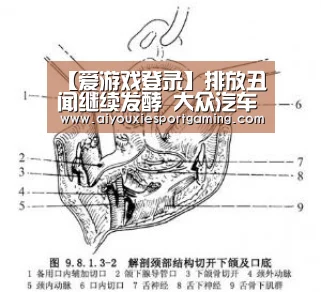 【爱游戏登录】排放丑闻继续发酵 大众汽车集团CEO迪斯遭调查(图3) 爱游戏竞猜