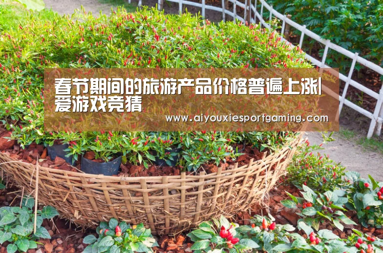 春节期间的旅游产品价格普遍上涨|爱游戏竞猜(图2) 爱游戏真人