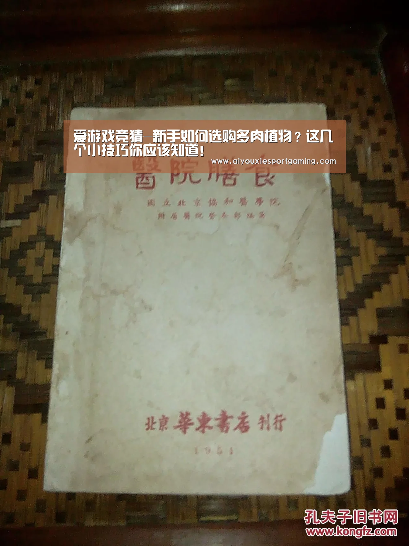 爱游戏竞猜-新手如何选购多肉植物?这几个小技巧你应该知道!(图3) 爱游戏真人