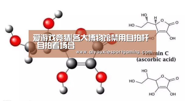 爱游戏竞猜|各大博物馆禁用自拍杆 自拍看场合(图4) 爱游戏娱乐