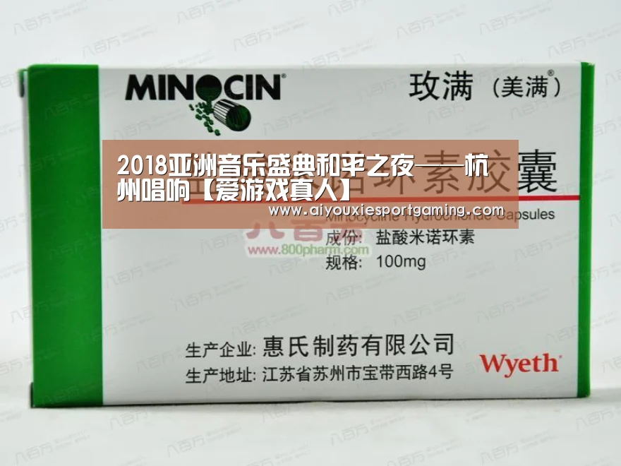 2018亚洲音乐盛典和平之夜——杭州唱响【爱游戏真人】(图4) 爱游戏娱乐