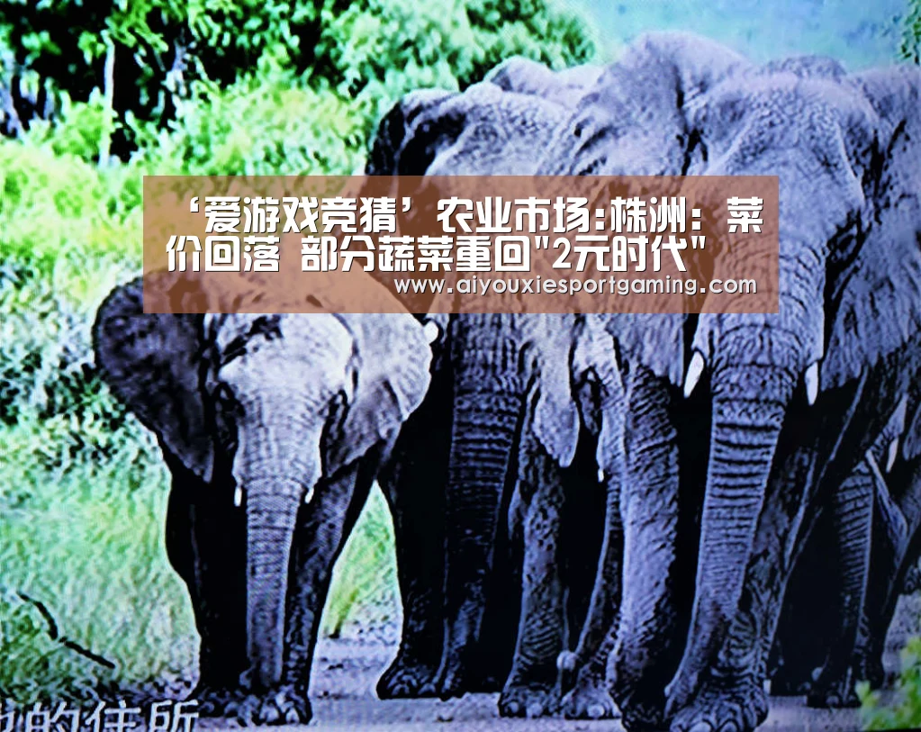 ‘爱游戏竞猜’农业市场:株洲:菜价回落 部分蔬菜重回2元时代(图1) 爱游戏登录