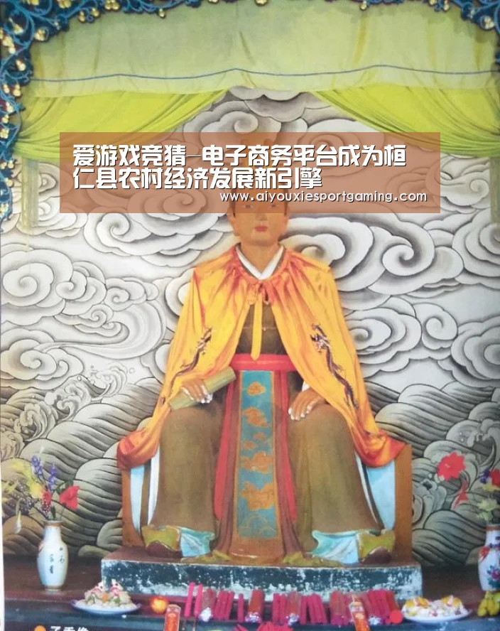 爱游戏竞猜-电子商务平台成为桓仁县农村经济发展新引擎(图2) 爱游戏登录
