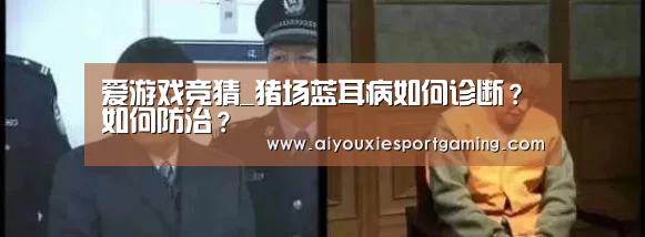 爱游戏竞猜_猪场蓝耳病如何诊断?如何防治?(图1) 爱游戏真人