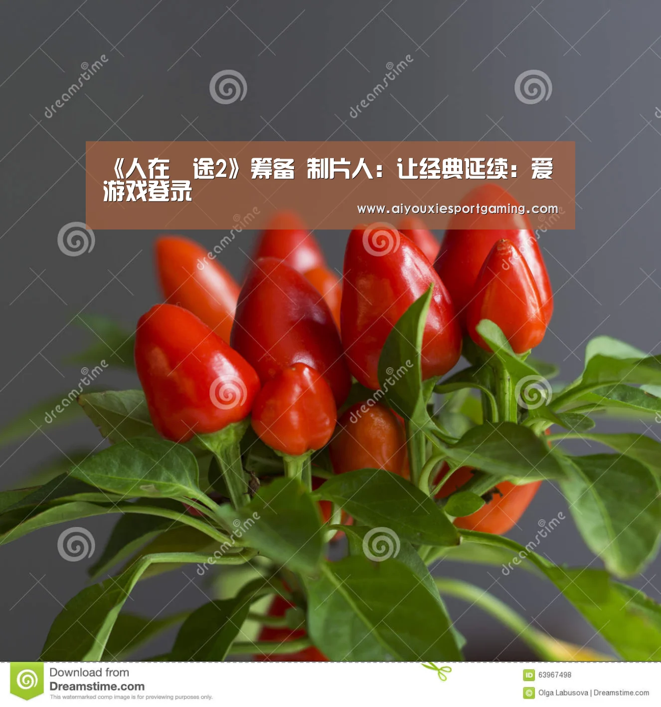 《人在囧途2》筹备 制片人:让经典延续:爱游戏登录(图1) 爱游戏娱乐