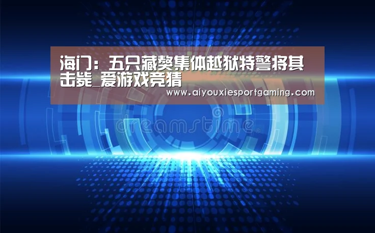 爱游戏竞猜