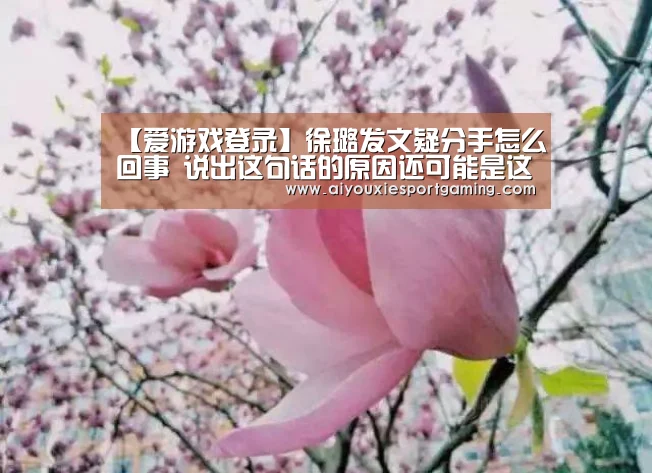 爱游戏娱乐