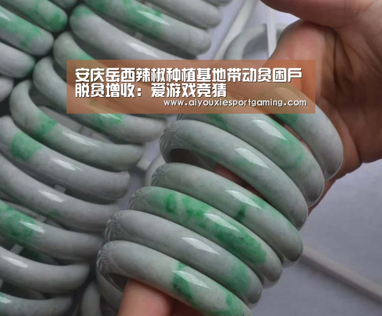 安庆岳西辣椒种植基地带动贫困户脱贫增收:爱游戏竞猜(图3) 爱游戏娱乐