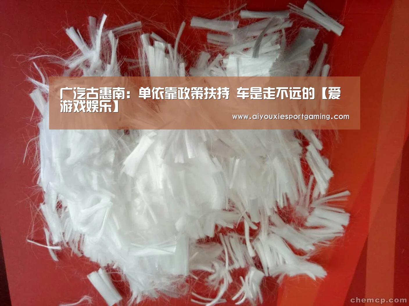 广汽古惠南:单依靠政策扶持 车是走不远的【爱游戏娱乐】(图1) 爱游戏竞猜