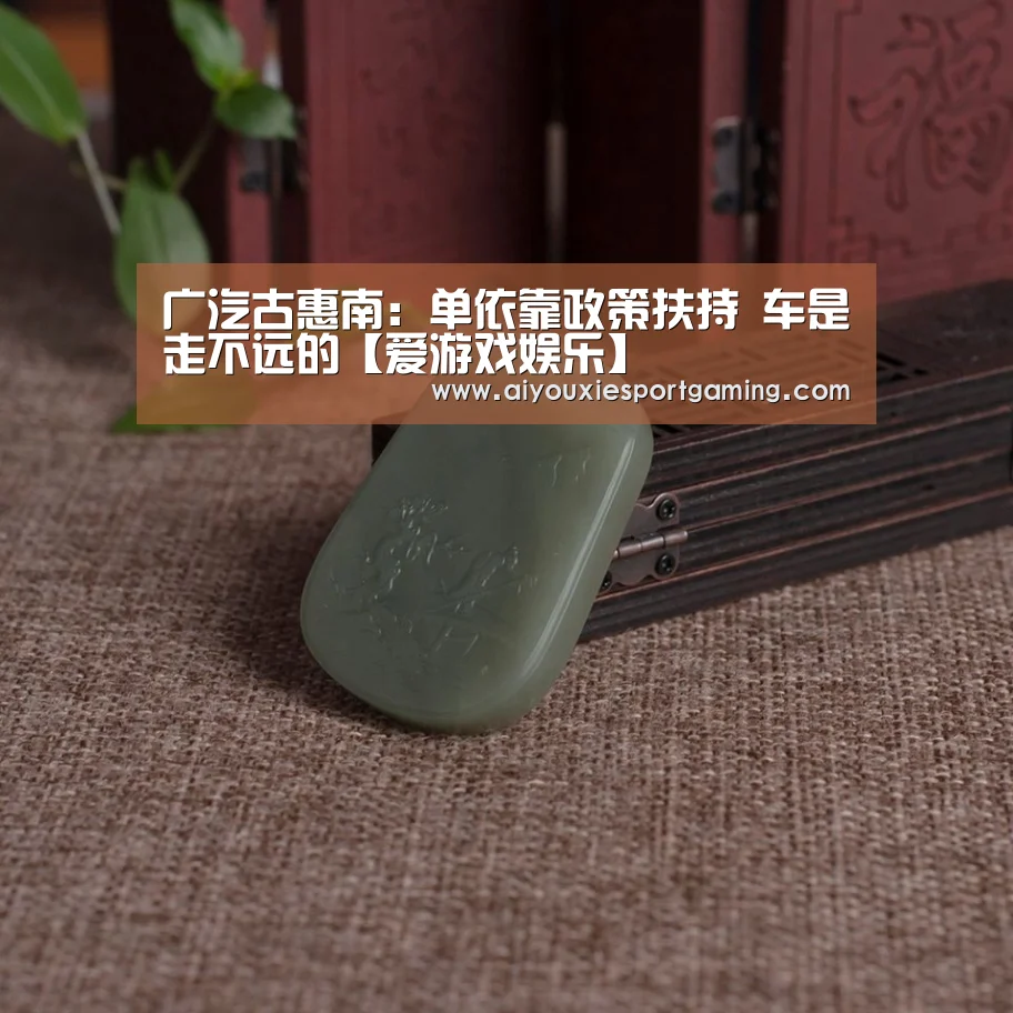 广汽古惠南:单依靠政策扶持 车是走不远的【爱游戏娱乐】(图2) 爱游戏娱乐