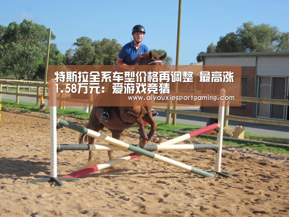 特斯拉全系车型价格再调整 最高涨1.58万元:爱游戏竞猜(图4) 爱游戏真人