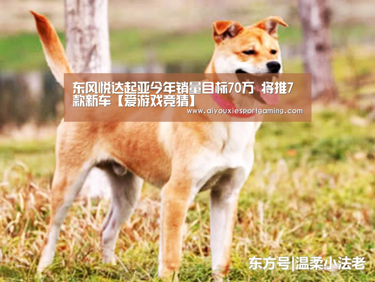 东风悦达起亚今年销量目标70万 将推7款新车【爱游戏竞猜】(图1) 爱游戏娱乐