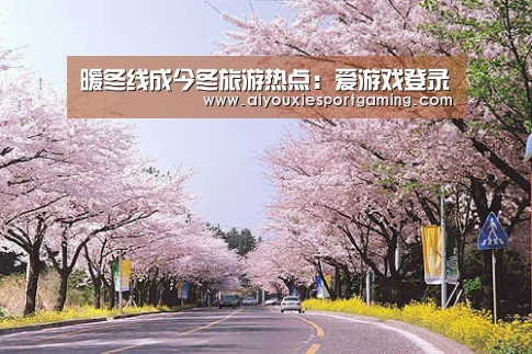 爱游戏娱乐