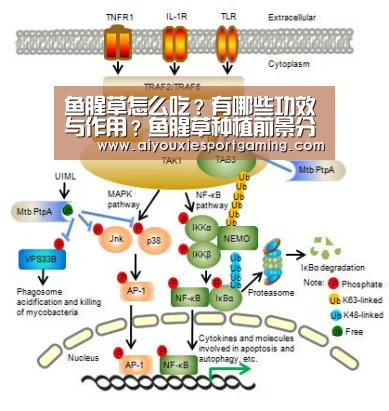 爱游戏娱乐