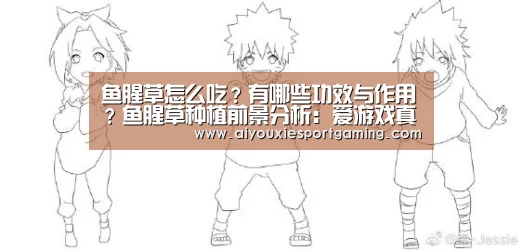 爱游戏登录