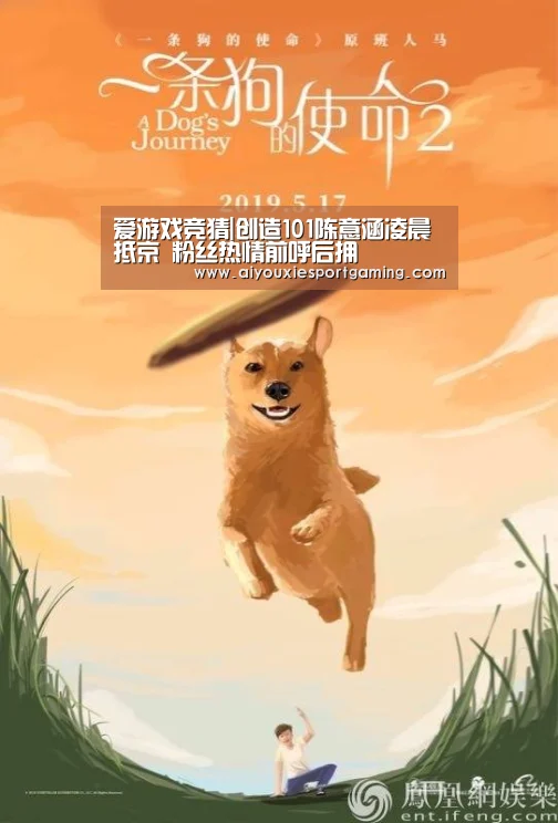 爱游戏竞猜|创造101陈意涵凌晨抵京 粉丝热情前呼后拥(图1) 爱游戏真人