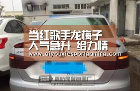 爱游戏竞猜