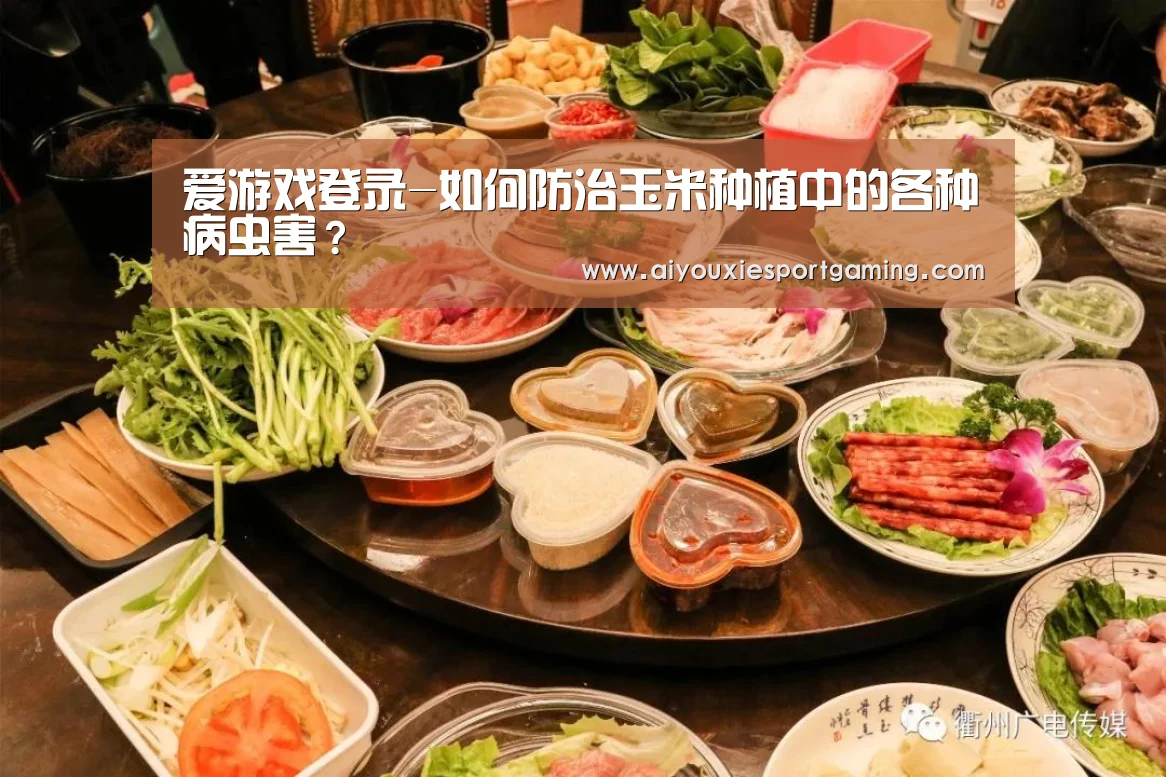 爱游戏登录