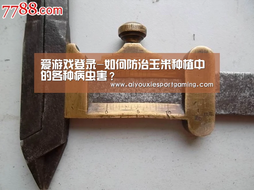 爱游戏娱乐
